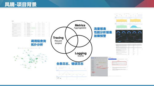 Apache Doris 在商业大规模微服务全链路监控中的数据处理服务实践